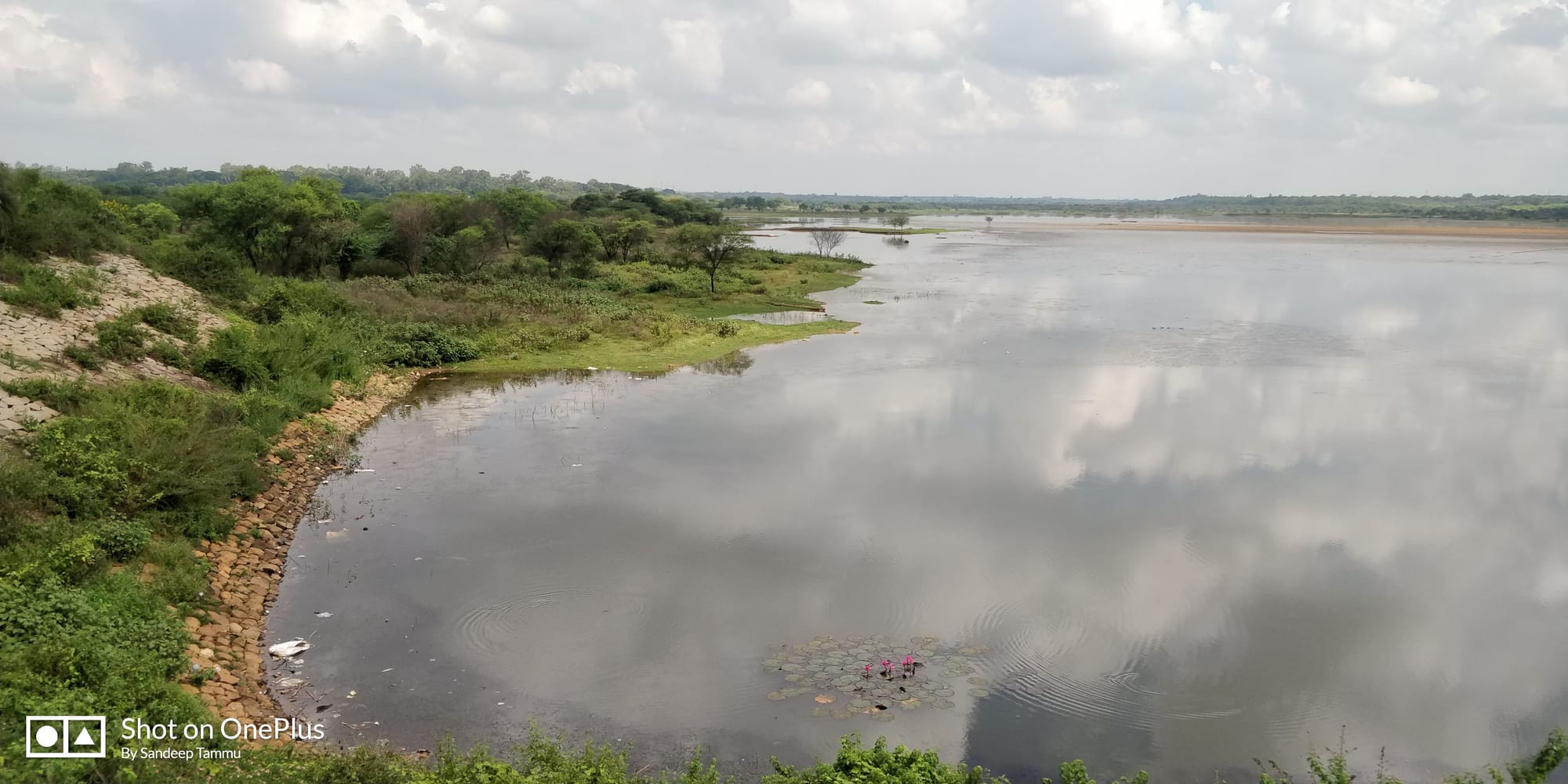 Hesaraghatta Lake