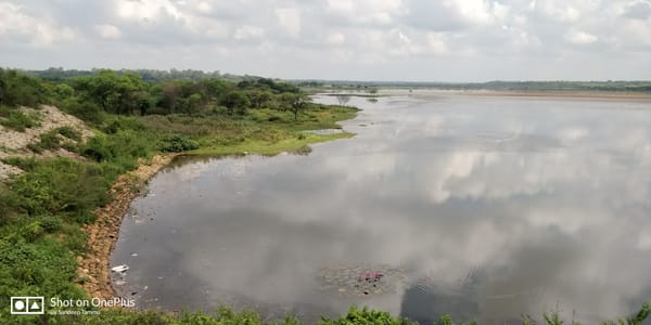Hesaraghatta Lake