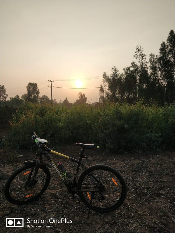 Gunjur Trails